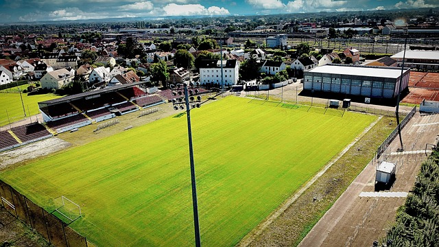 灵上的巨大 灵上的巨大