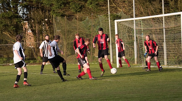 让他赢得了 让他赢得了